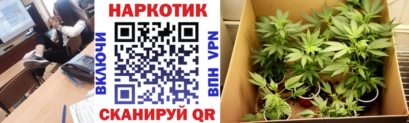 Купить наркотики сайты Перевоз Конопля  МЕФ  КОКАИН  MEGA вход  ГАШ 