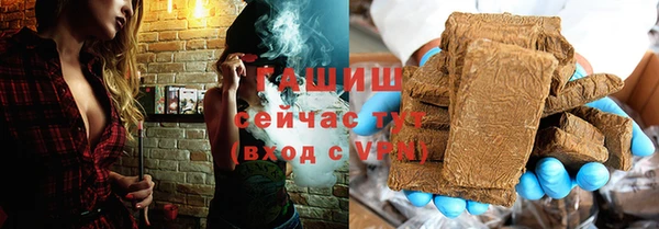 индика Яранск